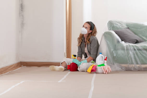 Reliable Mold Cleanup contractor in Germantown, IL by Cheap Mold Removal